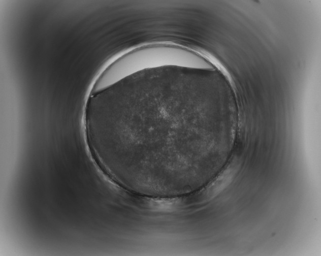 X0000099570951200805301538