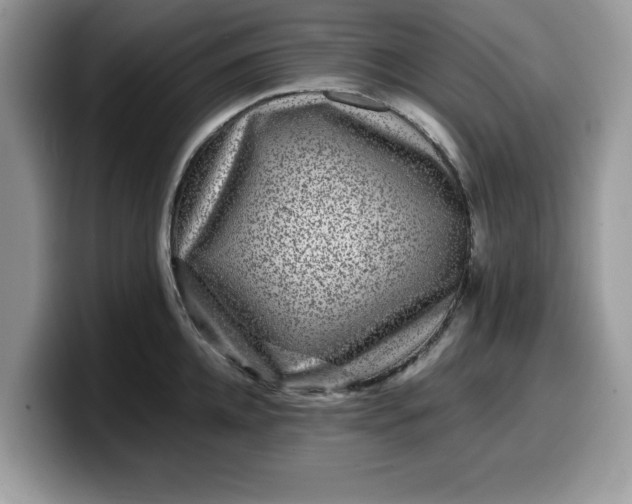 X0000099570952200805301538