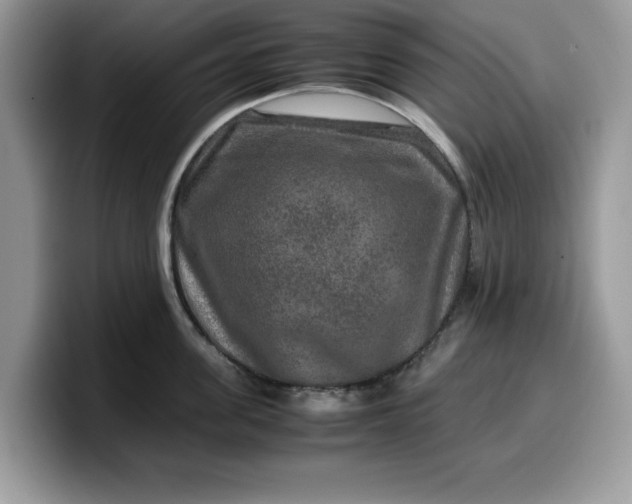 X0000099570955200805301538