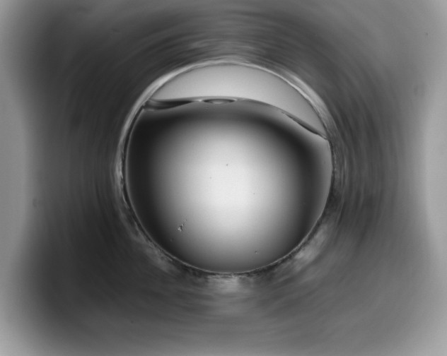 X0000099570956200805301538