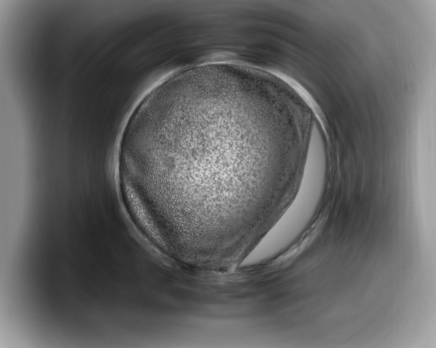 X0000099570957200805301538