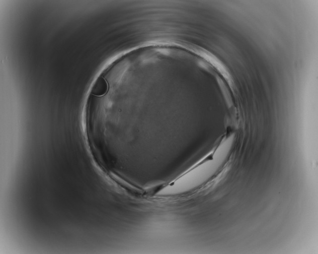 X0000099570958200805301538