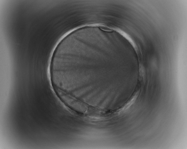 X0000099570959200805301538