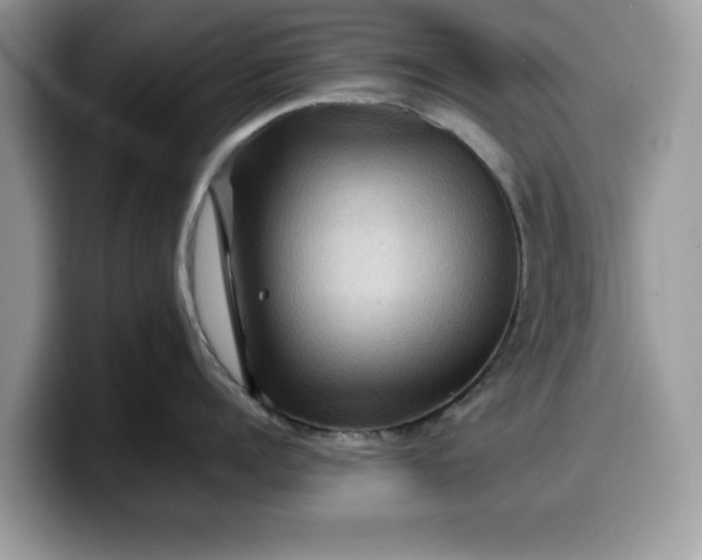 X0000099570960200805301538