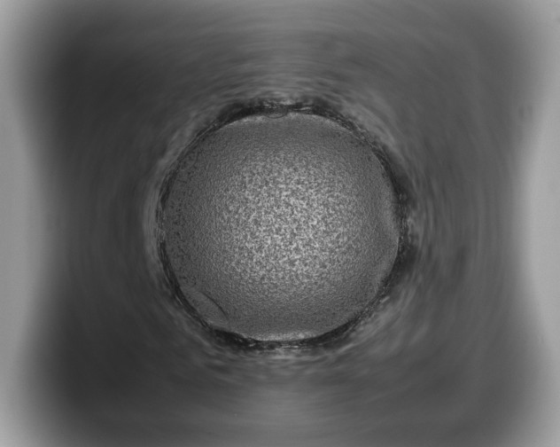 X0000099570961200805301537