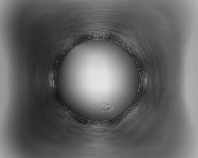 X0000099570962200805301537