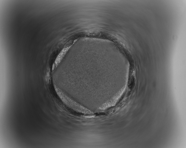 X0000099570963200805301537