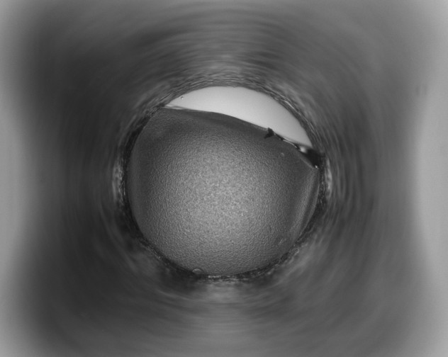 X0000099570964200805301537