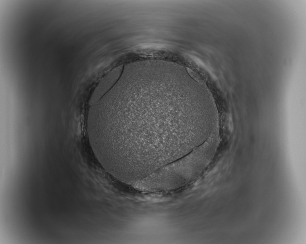 X0000099570965200805301537