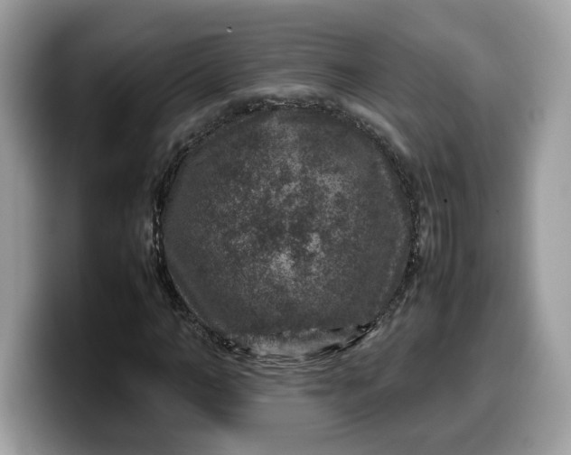 X0000099570966200805301537