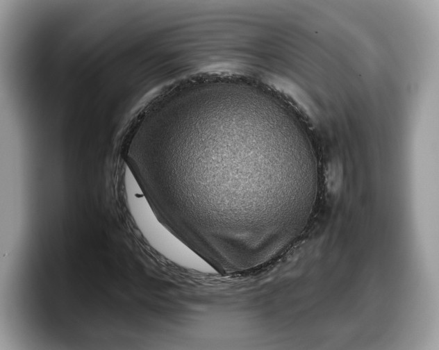 X0000099570968200805301537