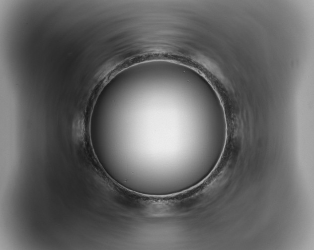 X0000099570969200805301537