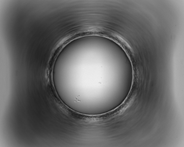 X0000099570970200805301537