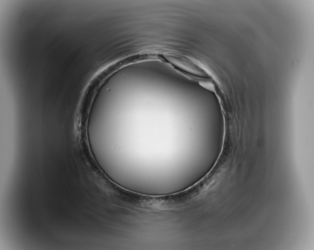 X0000099570971200805301537
