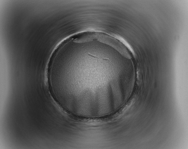 X0000099570972200805301537