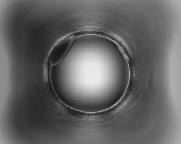 X0000099570973200805301537
