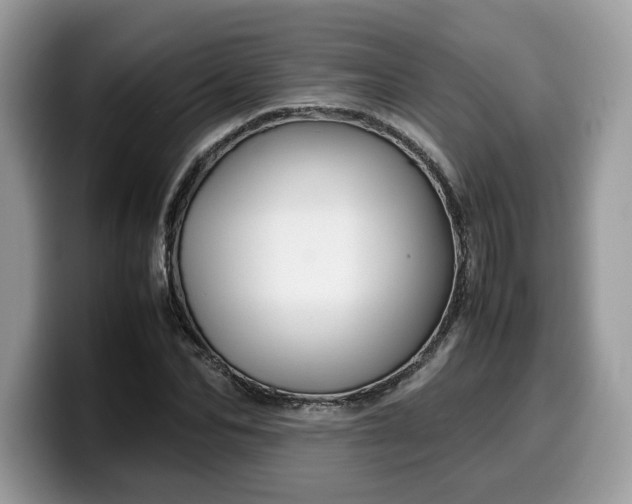 X0000099570974200805301537