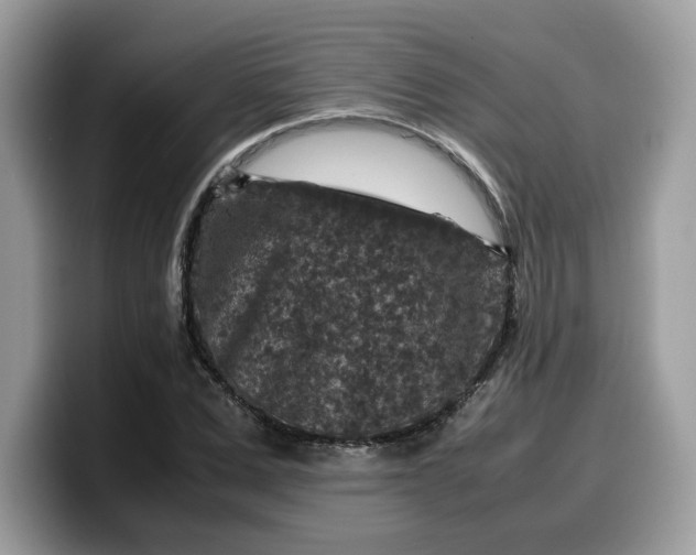 X0000099570975200805301537