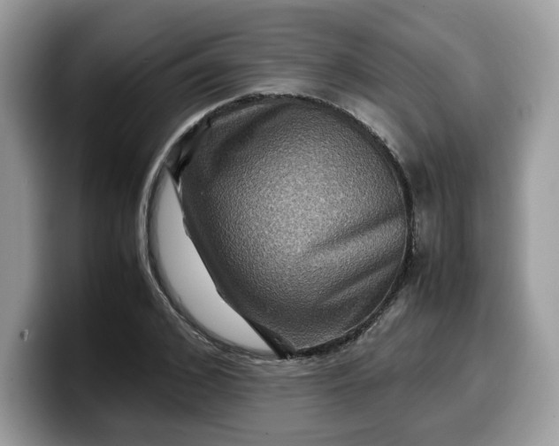 X0000099570976200805301537