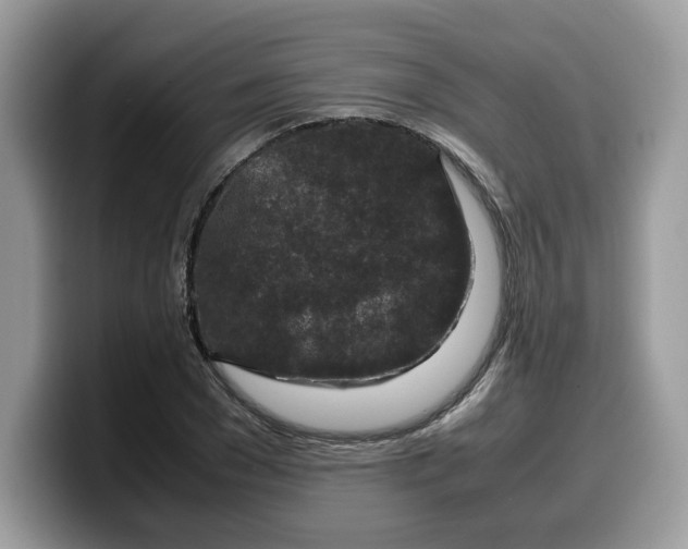X0000099570977200805301537