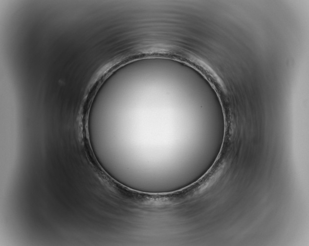 X0000099570978200805301537