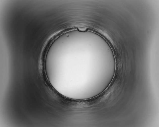 X0000099570979200805301537