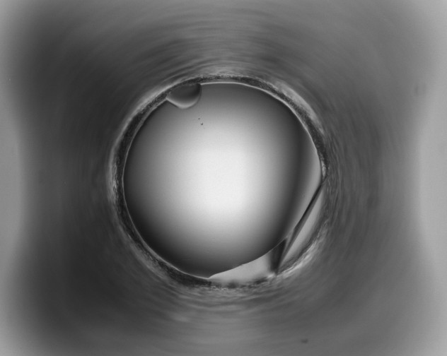 X0000099570981200805301537