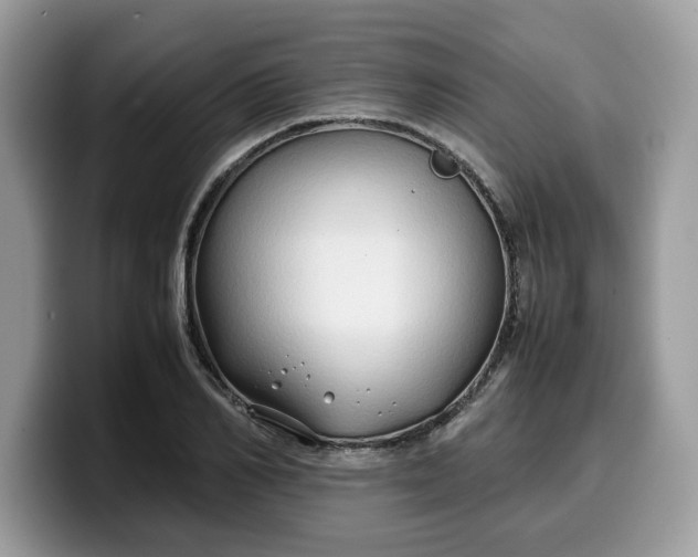 X0000099570982200805301537