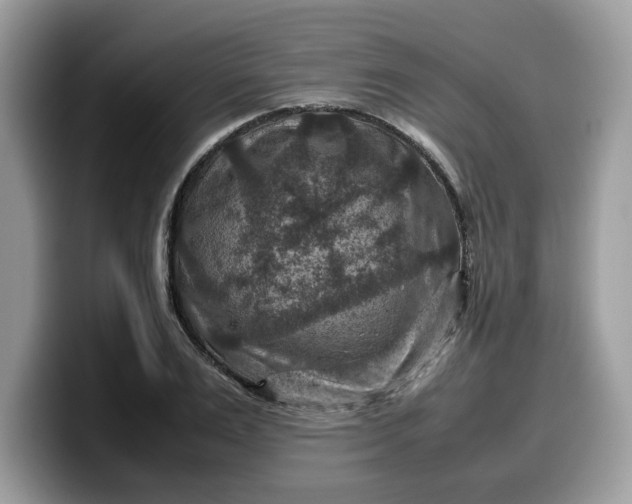X0000099570983200805301537