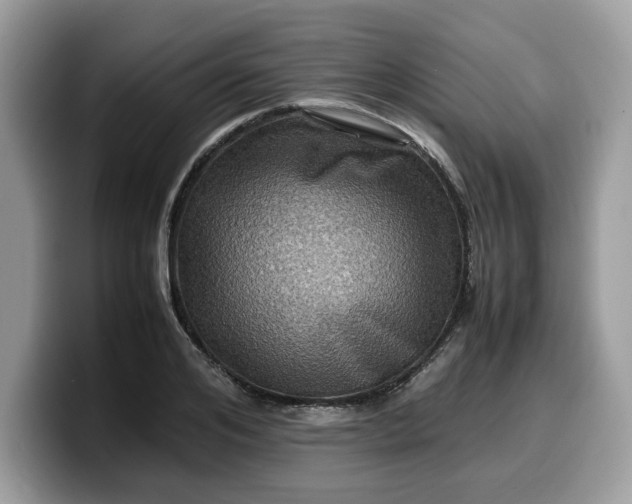 X0000099570984200805301537