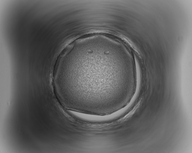 X0000099570985200805301537