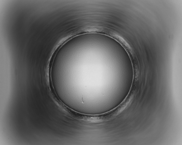 X0000099570986200805301537