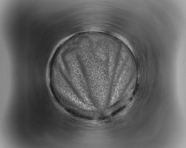 X0000099570987200805301537