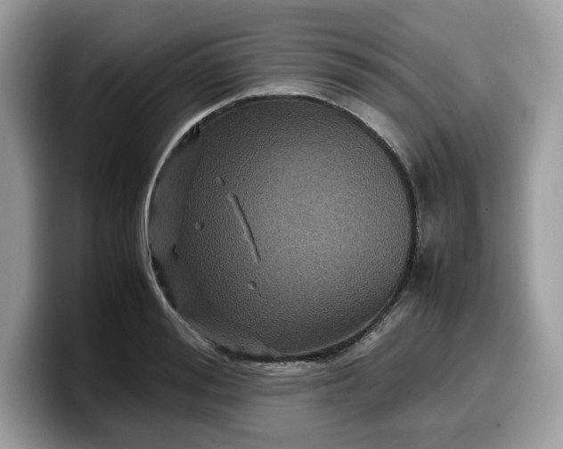 X0000099570988200805301537