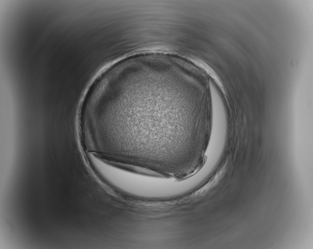 X0000099570989200805301537