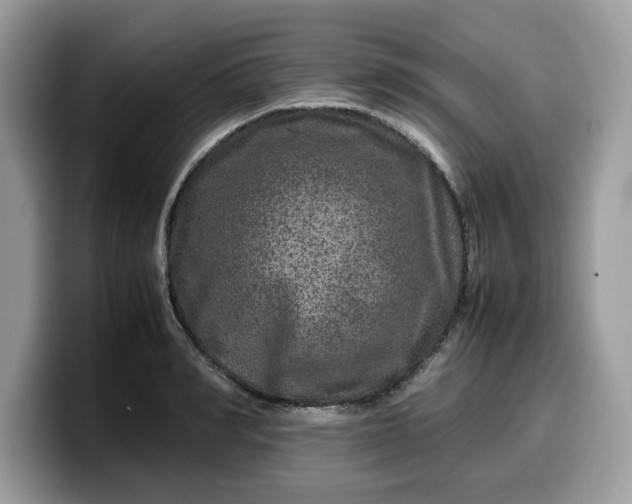 X0000099570990200805301537