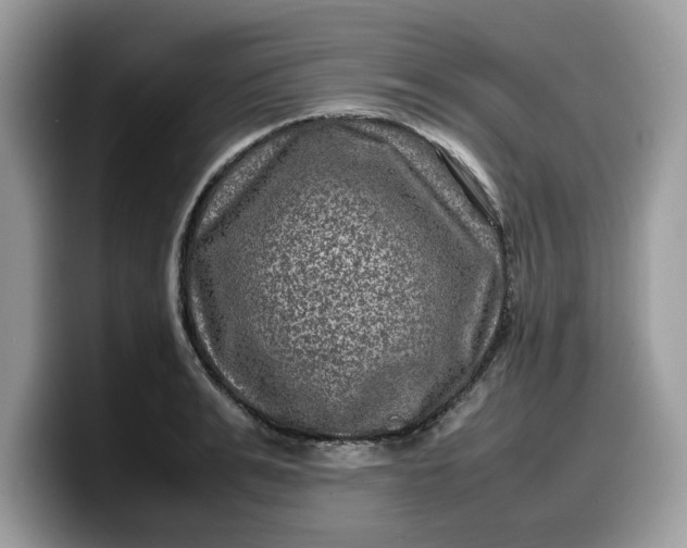 X0000099570991200805301537