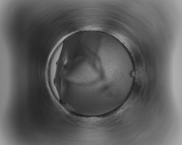 X0000099570992200805301537