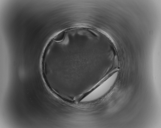 X0000099570995200805301537