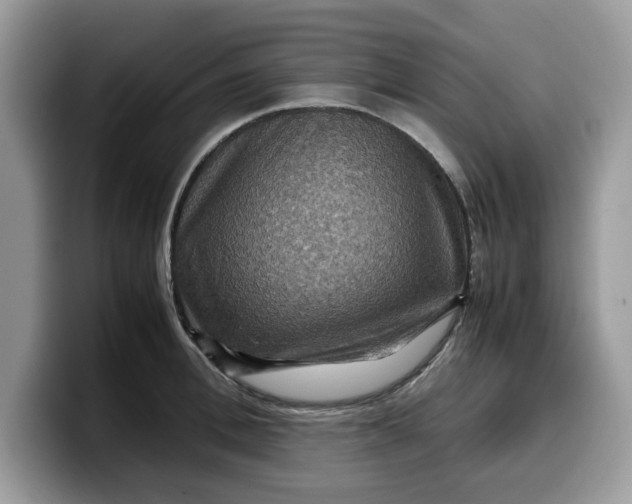 X0000099570996200805301537