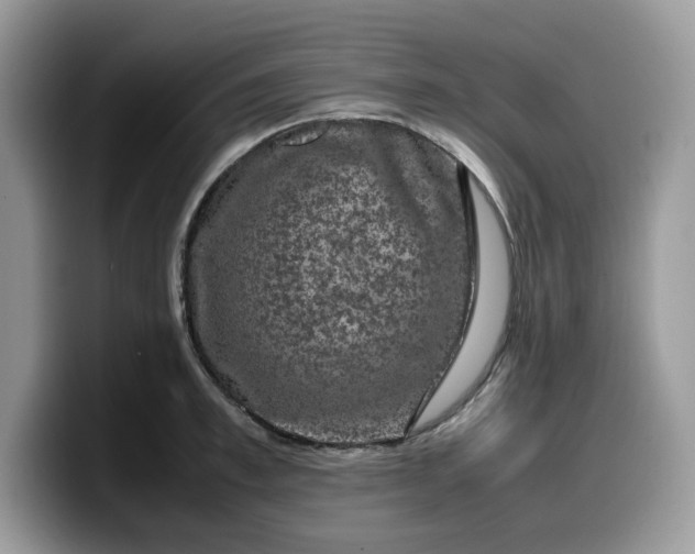 X0000099570997200805301537