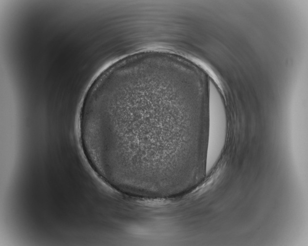 X0000099570999200805301537