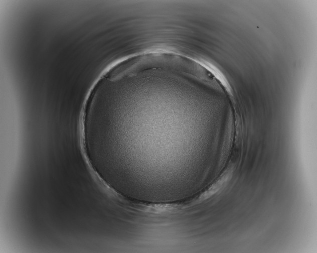 X0000099571000200805301537