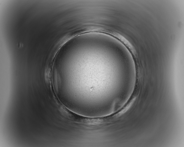 X0000099571001200805301537