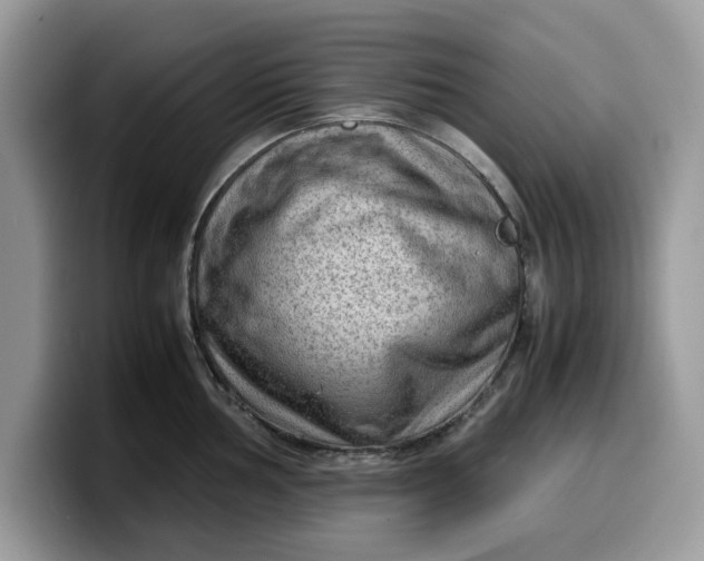 X0000099571002200805301537