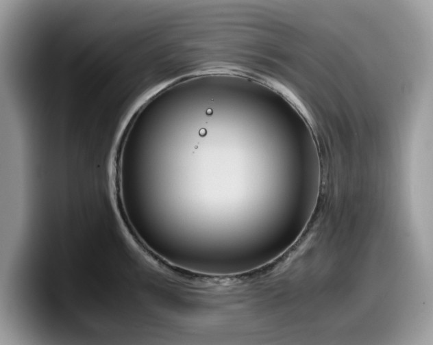 X0000099571003200805301537