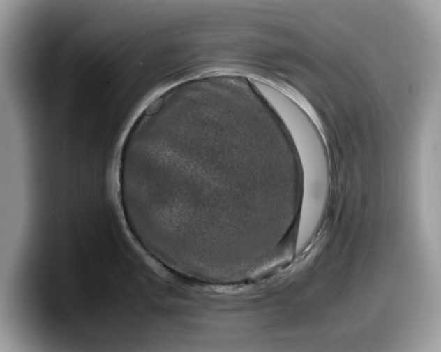 X0000099571005200805301537