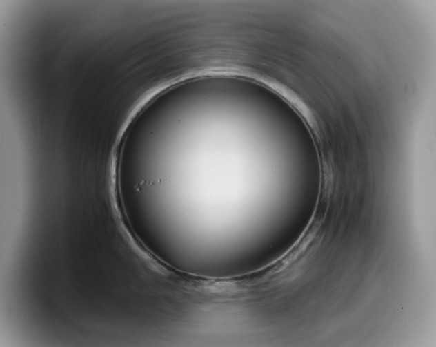 X0000099571006200805301537