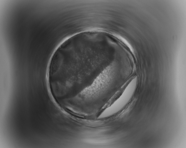 X0000099571007200805301537