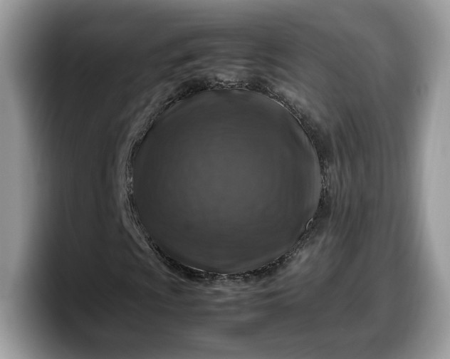 X0000099571009200805301536